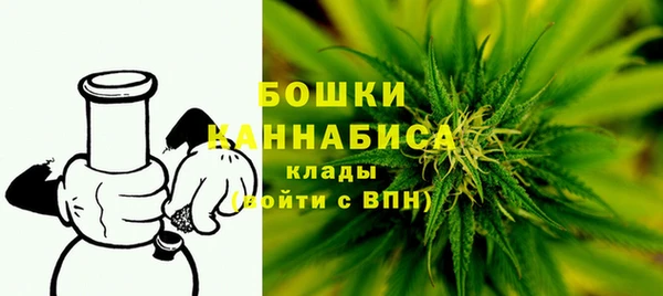 прущие крисы Новозыбков