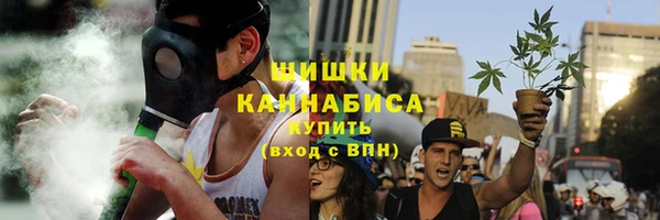 прущие крисы Новозыбков