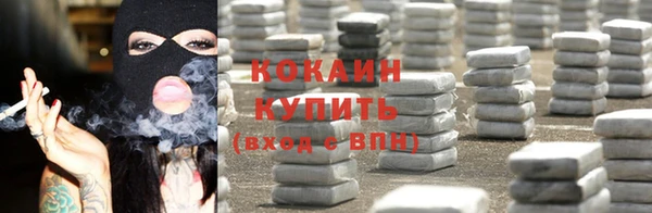 прущие крисы Новозыбков