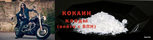 амф Новокубанск