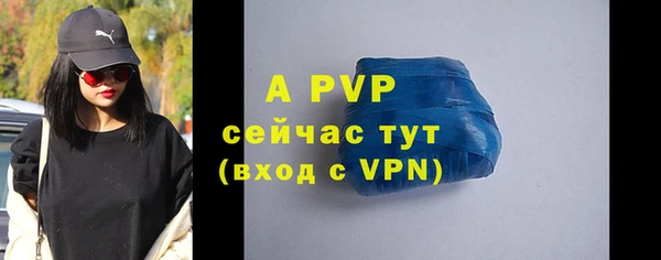 прущие крисы Новозыбков