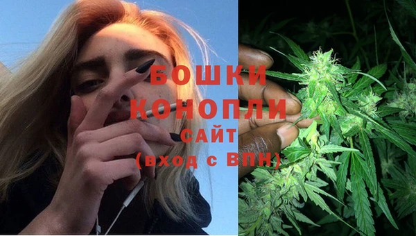 амф Новокубанск