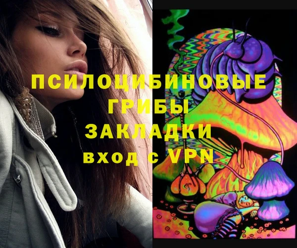 герыч Весьегонск