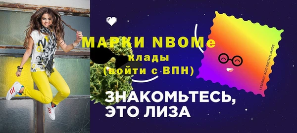 амф Новокубанск