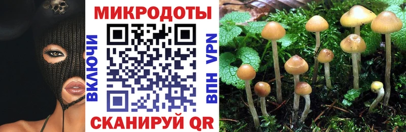 магазин продажи наркотиков  блэк спрут ССЫЛКА  Псилоцибиновые грибы Psilocybe  Кяхта 